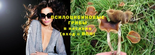 мескалин Алзамай