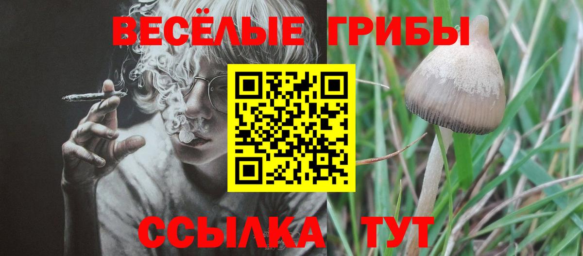 Галлюциногенные грибы ЛСД Лянтор